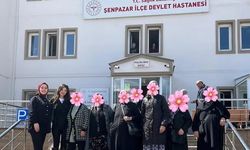 Şenpazar’da kadınlara sağlık desteği