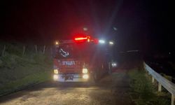 Sinop’ta otluk alanda yangın paniği