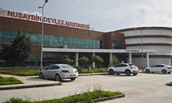 Suriye’den gelen yorgun mermi profesöre isabet etti