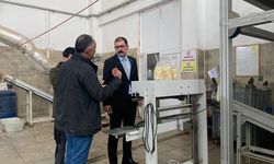 Taşköprü Kaymakamı sarımsak üretim alanını yerinde inceledi