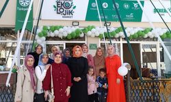 Taşköprü’den üretime güçlü katkı: Kadın emeği ekolojik markette