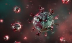 Uzmanlar uyardı! Ebeveynler dikkat: Çocuklarda hızla yayılıyor!