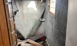 Vatandaşlar önlem bekliyor! Kış uykusu bitti: Ayı istilası başladı!