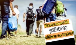 TÜİK açıkladı: Kastamonu’da ne kadar yabancı var?