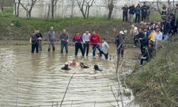 Yürekleri yakan olay! 12 yaşındaki çocuk gölete düştü: Müdahalelere rağmen kurtarılamadı!