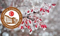 Kastamonu için zirai don uyarısı