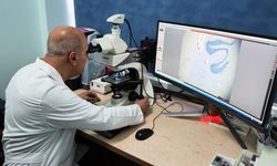 Alzheimer’a karşı umut veren keşif!