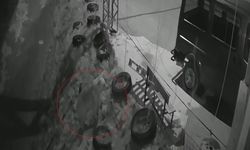 Köyde şok görüntü! Gece yarısı köye inen ayı kameraya yakalandı