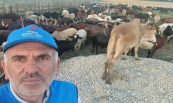 Kastamonu Müftüsü Bekir Derin Tanzanya’da