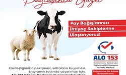 Kastamonu Belediyesi, kurban payı dağıtacak