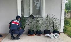 Evine özel sistem kurdu! Jandarma baskınıyla yakalandı