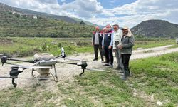 Hanönü ve Tosya'da çeltikleri bu yıl dronlar toprakla buluşturdu