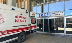 Kurban Bayramı’nda şok rakam! 13 Bin 513 kişi hastanelik oldu
