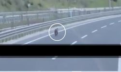 Kastamonu’da beklenmedik karşılaşma