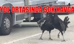 Komşuda trafik kilitlendi! Yol ortasında şok kavga