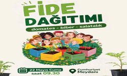 Kastamonu’da fide seferberliği: Ücretsiz dağıtım yapılacak
