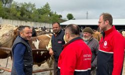Kastamonu’da kurbanlıklar mercek altında: Denetimler sürüyor