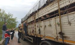 Kastamonu’da durduruldular: Sevkiyatta sıkı denetim