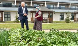 Kastamonu’da huzurevinde fideler umuda dönüştü
