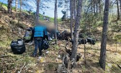 Kastamonu’da kirletilen alan yeniden doğaya kazandırıldı