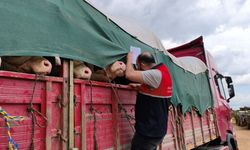 Kastamonulu besiciler dikkat: Cezası 7 bin 863 lira ceza!