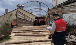 Kurbanlıklar yola çıktı: Kastamonu’dan İstanbul’a büyük sevkiyat