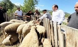 Hanönü’nde bayram hareketliliği: Başkan Yamalı’dan pazar ve esnaf ziyareti