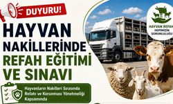 Kastamonu’da hayvan nakili yapanlara sınav yapılacak