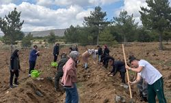 Kastamonu’da “Sonsuz Vefa” projesiyle fidanlar toprakla buluştu