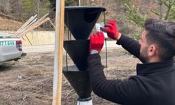 Kastamonu’da ormanlar için 200 tuzak kuruldu