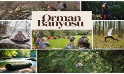 Kastamonu’da, doğanın iyileştirici gücü turizmle buluşuyor!