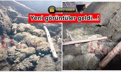 Taşköprü'de ahır faciası: Kadın göçükte kaldı, onlarca koyun telef oldu!