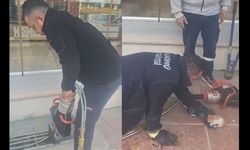 Taşköprü’de bina boşluğuna düşen kedi için zamanla yarış