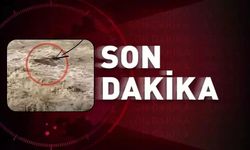 Taşköprü’de Gökırmak’a kapılan inek telef oldu