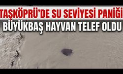 Taşköprü’de su seviyesi paniği! Büyükbaş hayvan telef oldu