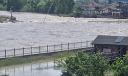 Kelkit Çayı taştı: Tarım arazileri su altında kaldı
