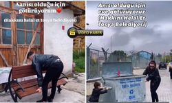 Kastamonu'da çekilen o video meşhur oldu: 'Lütfen bırakın'