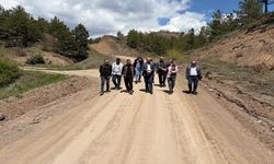 Kastamonu'da ilçeye çevre yolu yapılacak