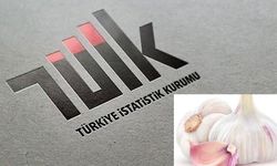 Taşköprü sarımsağı Türkiye’de zirveye yerleşti!