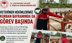 Kastamonu'da veteriner hekimler bayramda görevde