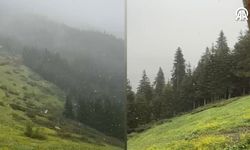 Kastamonu yaylalarına mayıs karı yağdı