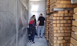Kastamonu’da ahşap ambalaj firması denetimden geçti