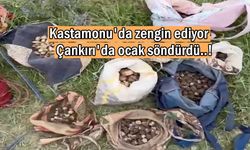 Kastamonu’da kilosu 13 bin lira: Bu hatayı yapanın ocağı söner!