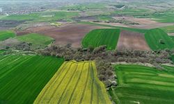 Tarla ve bahçe fiyatlarında yavaşlama dikkat çekiyor
