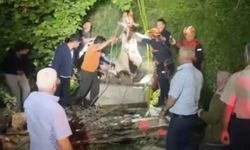 Kastamonu'da inek kurtarma operasyonu