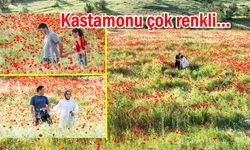 Kastamonu rengarenk çiçeklerle süslendi