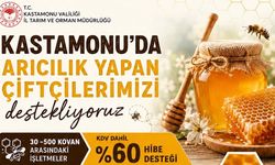Kastamonu’da arıcılara müjde: Yüzde 60 hibe
