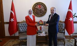 Kastamonu’da Vali Dallı’ya Bakan yardımcısından ziyaret