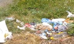 Kastamonu'da doğa katliamı: Çöplüğe döndü