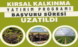 Kastamonu'da çiftçilere yeni başvuru fırsatı: Süre uzatıldı